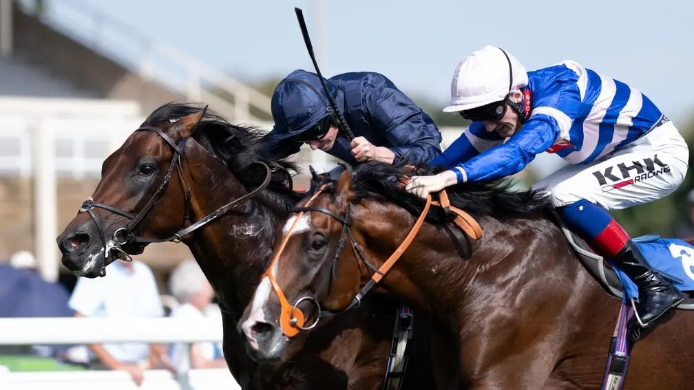 每日賽馬晚報（2023年9月8日），🇭🇰香港兩馬場安然無事渡過暴雨，🇫🇷凱旋門「三預賽」亦應留意