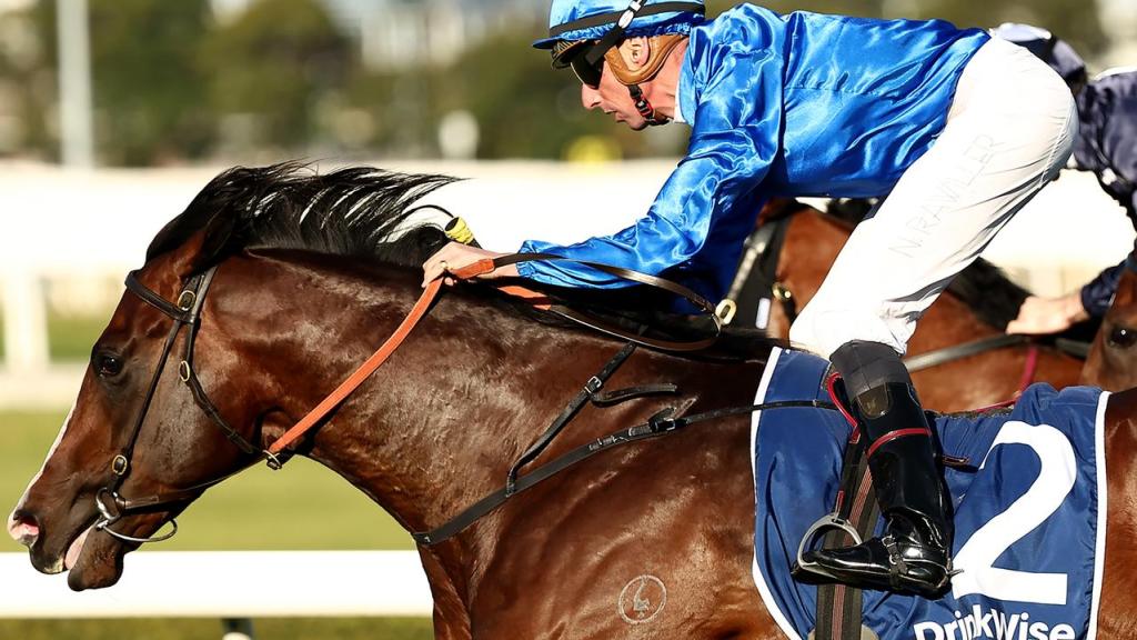 每日賽馬晚報（2023年9月9日），🇳🇿Tokyo Tycoon從一級賽失格後重新出發，🇦🇺Cylinder勝出金玫瑰錦標預賽圖挑戰Shinzo