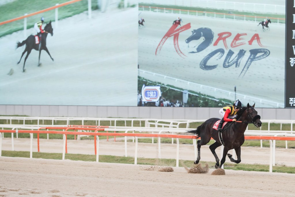 每日賽馬晚報（2024年9月5日），🇮🇪🇺🇸戴圖理週六被岳伯仁獨佔，🇰🇷韓國國際賽日本馬大舉進軍