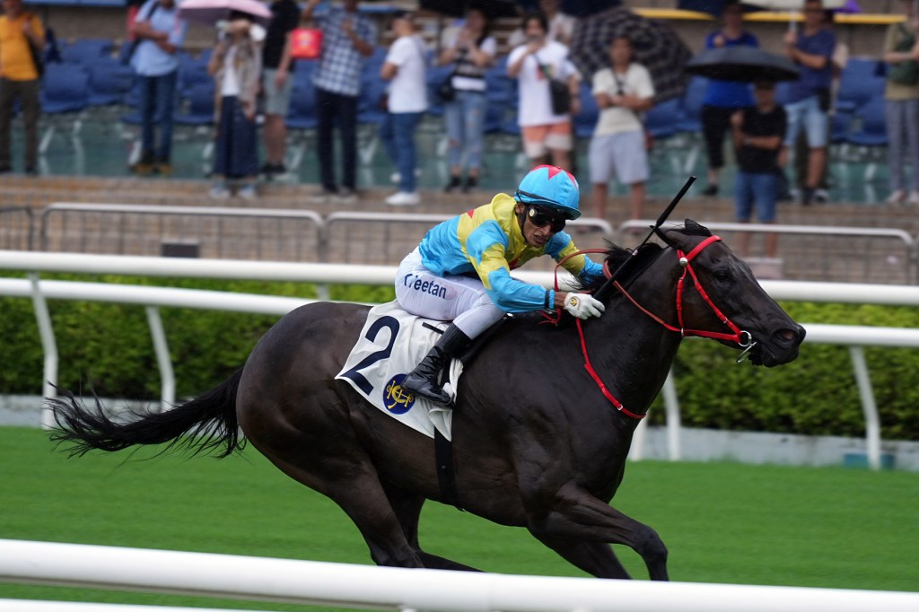 發揮領放大智的維港智能