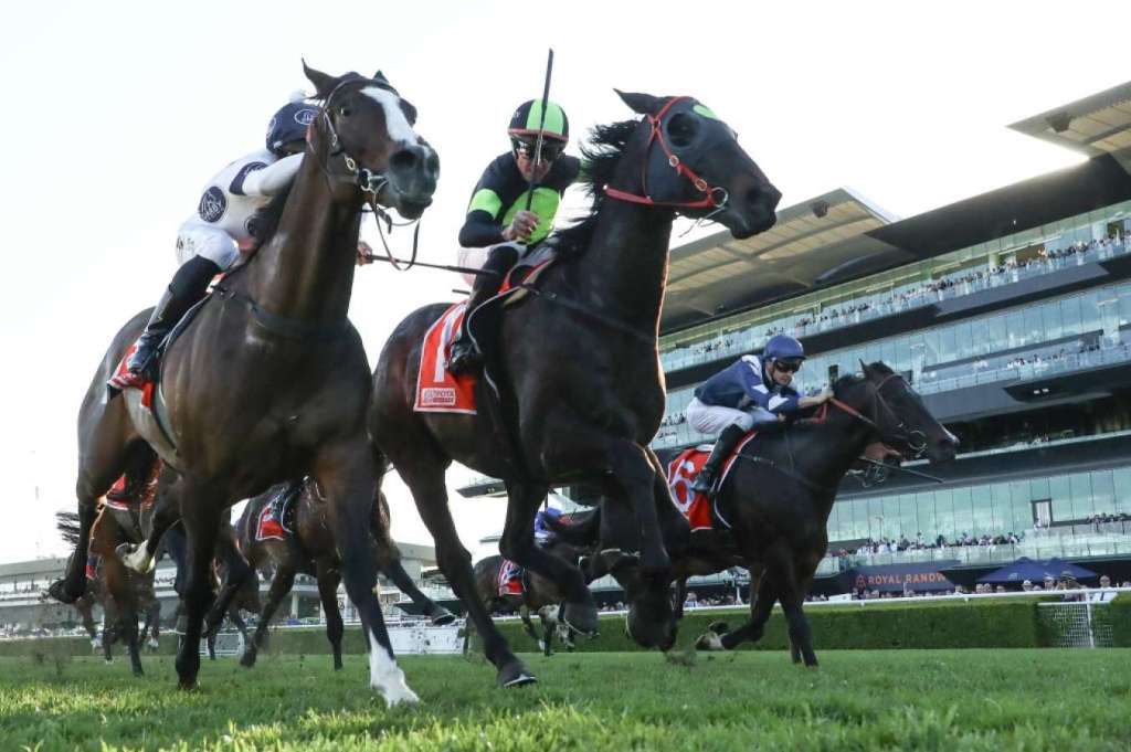 彭達指墨爾本盃成為「有錢人遊戲」