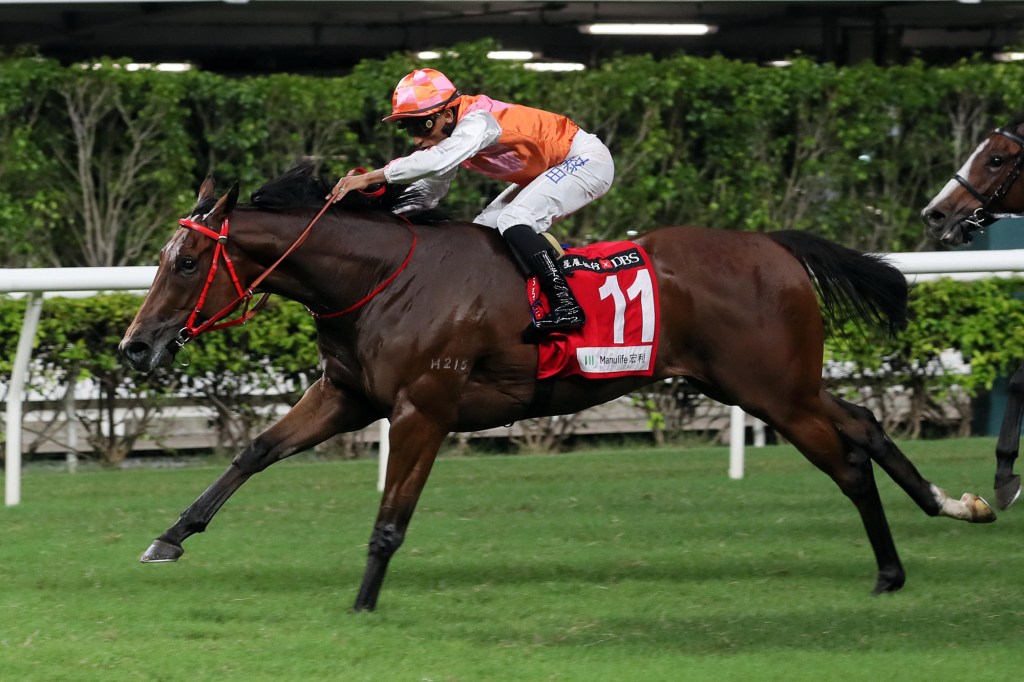 每日賽馬晚報（2023年9月21日），🇦🇺登天橋參戰珠峰，🇭🇰喜蓮勇感確保來年打吡資格