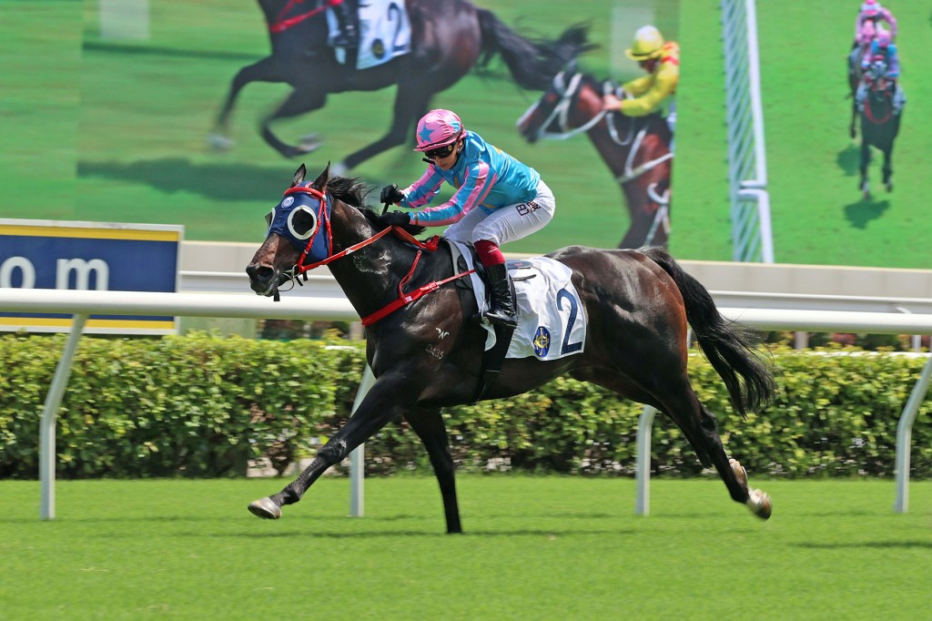 慶典盃，健康愉快又放到