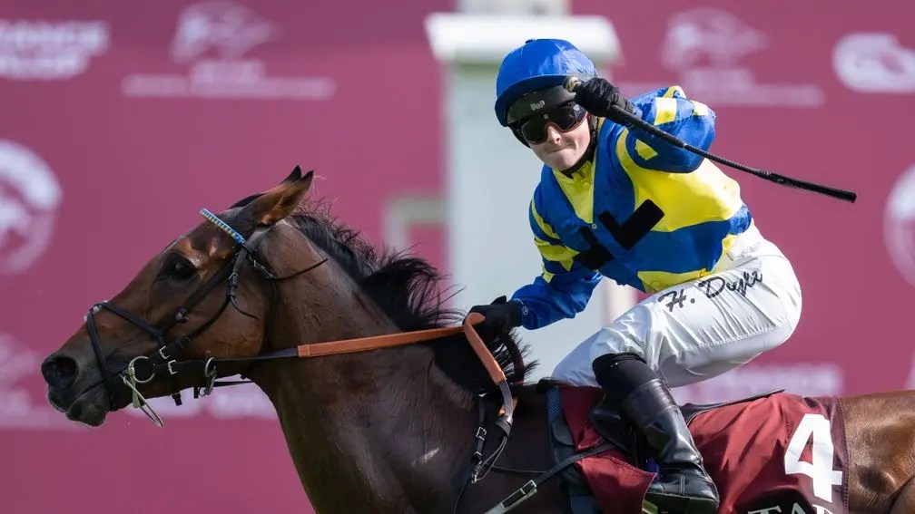 嘉登大賽再見真章