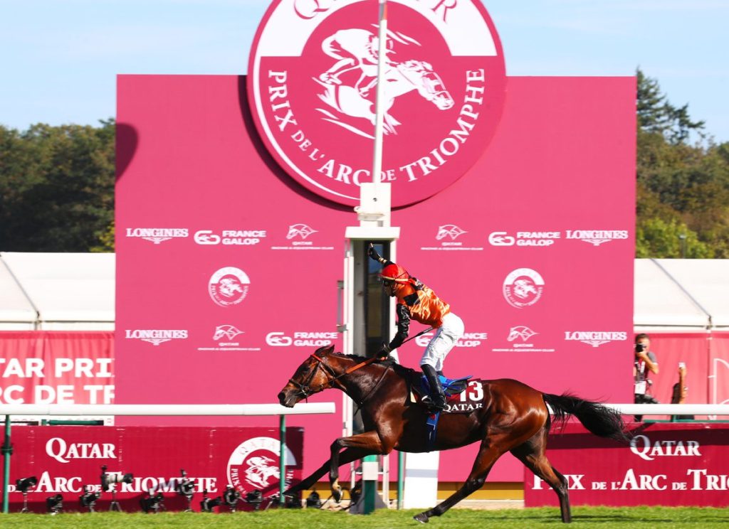 每日賽馬晚報（2023年10月26日），Breeders’ Special，🇺🇸育馬者盃公佈出賽馬匹，🇫🇷頂級衝力種費4萬歐元