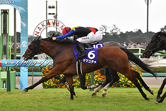 短途馬錦標，Mama Cocha夠快就贏