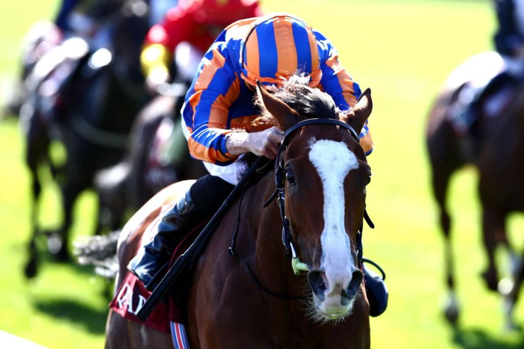 岳伯仁料派六駒攻愛爾蘭堅尼賽