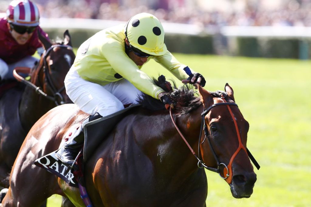 尚盧利加迪大賽，緋色威獅發威