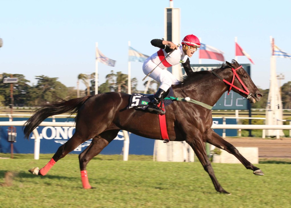 拉丁美洲大賽，強博士面對南美強豪保持連勝紀錄