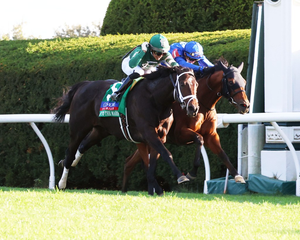 每日賽馬晚報（2023年10月9日），🇦🇺留給自己滴酒不沾獲珠峰最後一個資格，🇺🇸雄霸海上最後一步被Up to the&nbsp;Mark追過