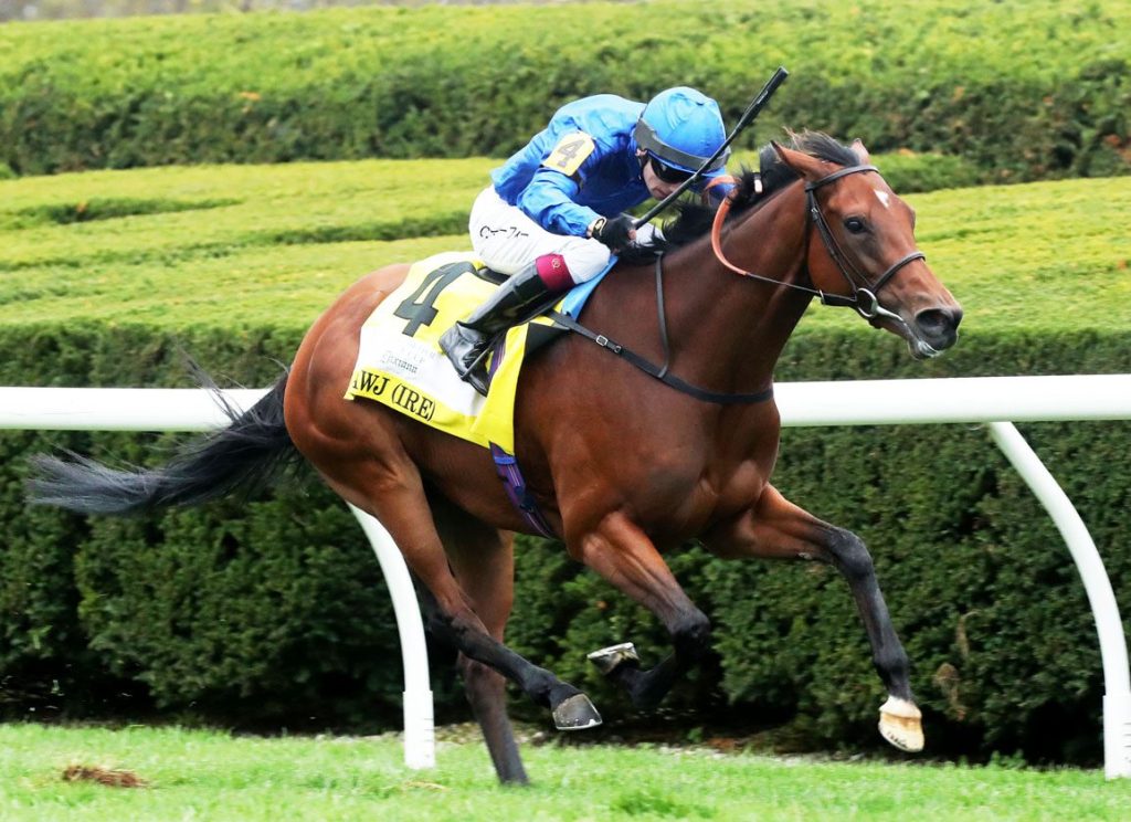 每日賽馬晚報（2023年10月15日），🇦🇺雲絲仙子生母離世，🇬🇧🇺🇸高多芬週末五喜臨門