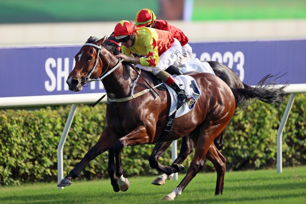 沙田錦標，加州星球負135磅奪標，潘頓被告東尼「公開處刑」