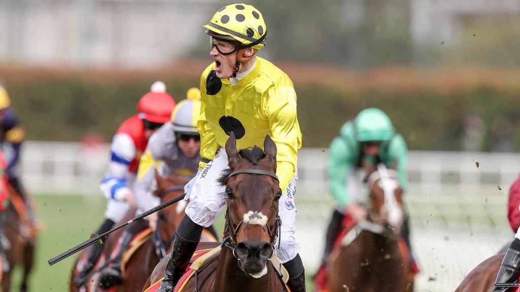 每日賽馬晚報（2024年8月21日），🇦🇺不戰而勝復操，🇯🇵星光速確定角逐秋季大賽