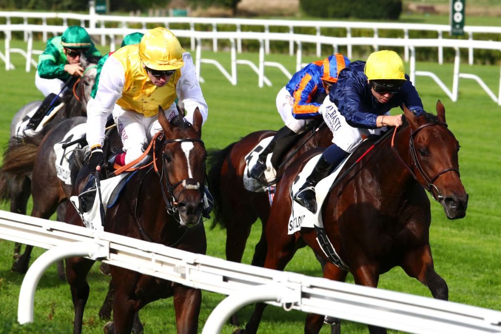 嘉登大賽只有三駒留位，及後五駒加入補充報名