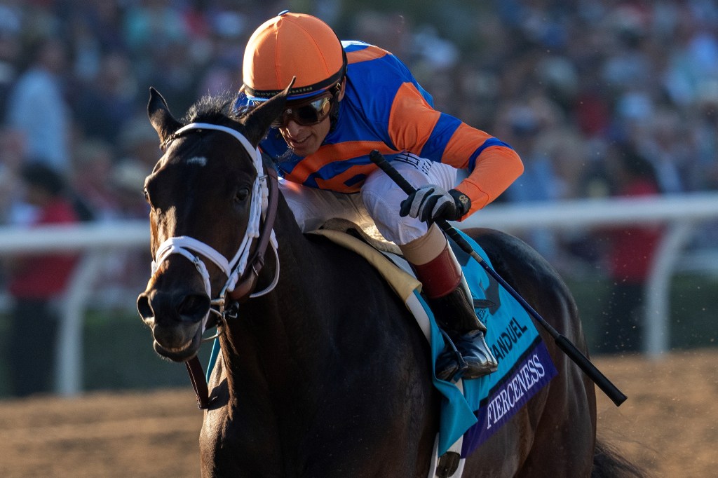 每日賽馬晚報（2023年12月12日），🇺🇸Fierceness三歲留在佛羅里達州上陣，🇯🇵盡得真傳避戰有馬紀念賽