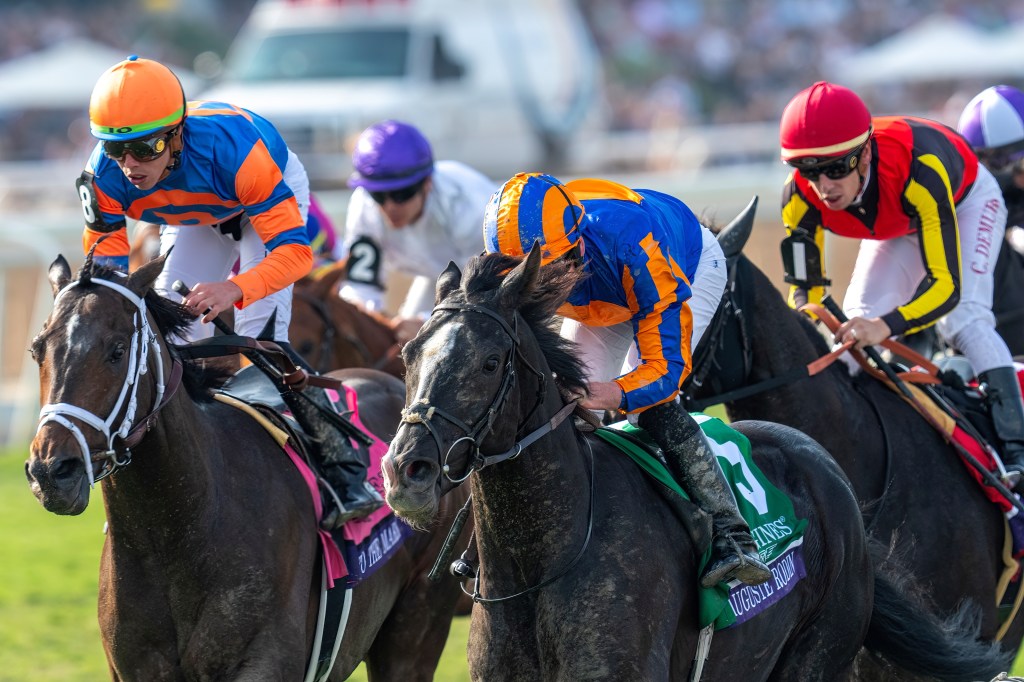 [快訊]多產巨匠草地大賽找機贏馬，白馬小村奪經典大賽