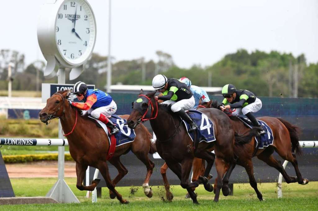 珠峰鐵娘子，無事是名馬美孫女