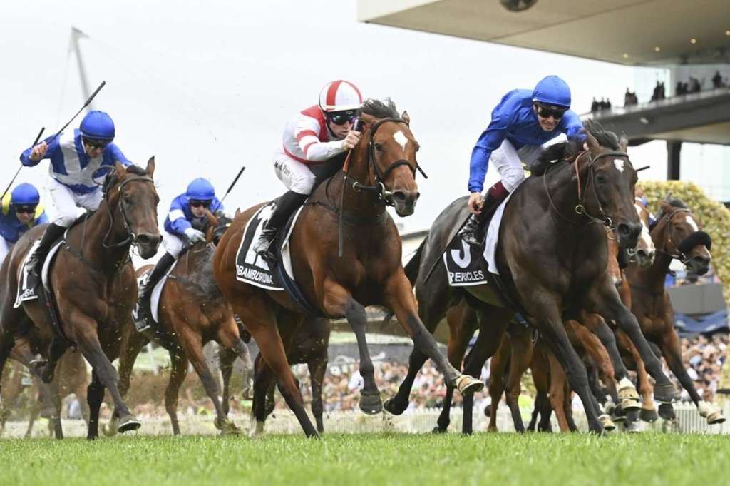 金鷹錦標,日本馬Obamburumai從不可能位置突圍而出