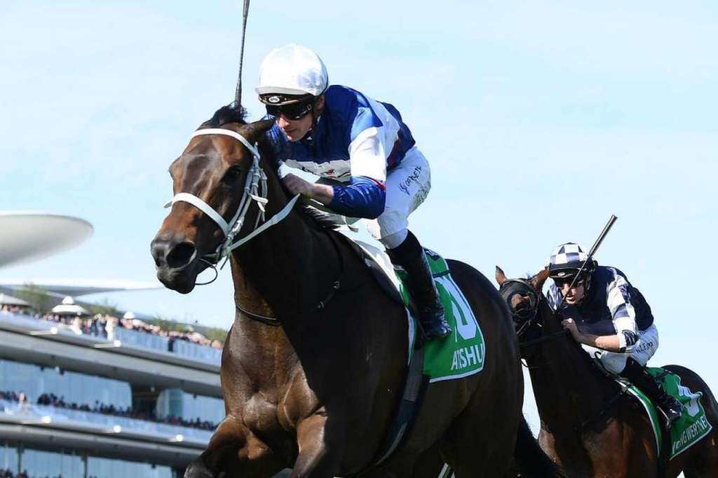 維省賽馬會冠軍錦標，愛天仙大賽日凱旋而回