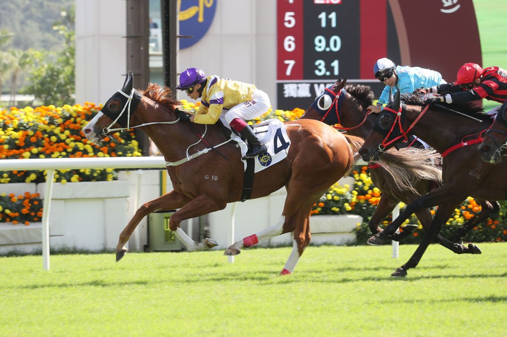 龍船狀元的終極挑戰