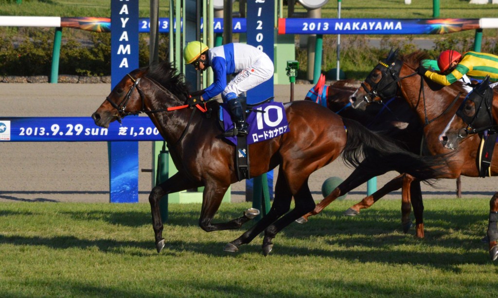 歷史名駒系列，日本短途霸主龍王