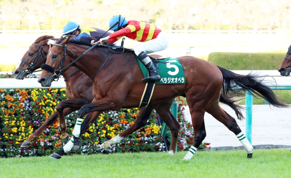 不負於經典賽冠軍的實力馬寶徠歌劇