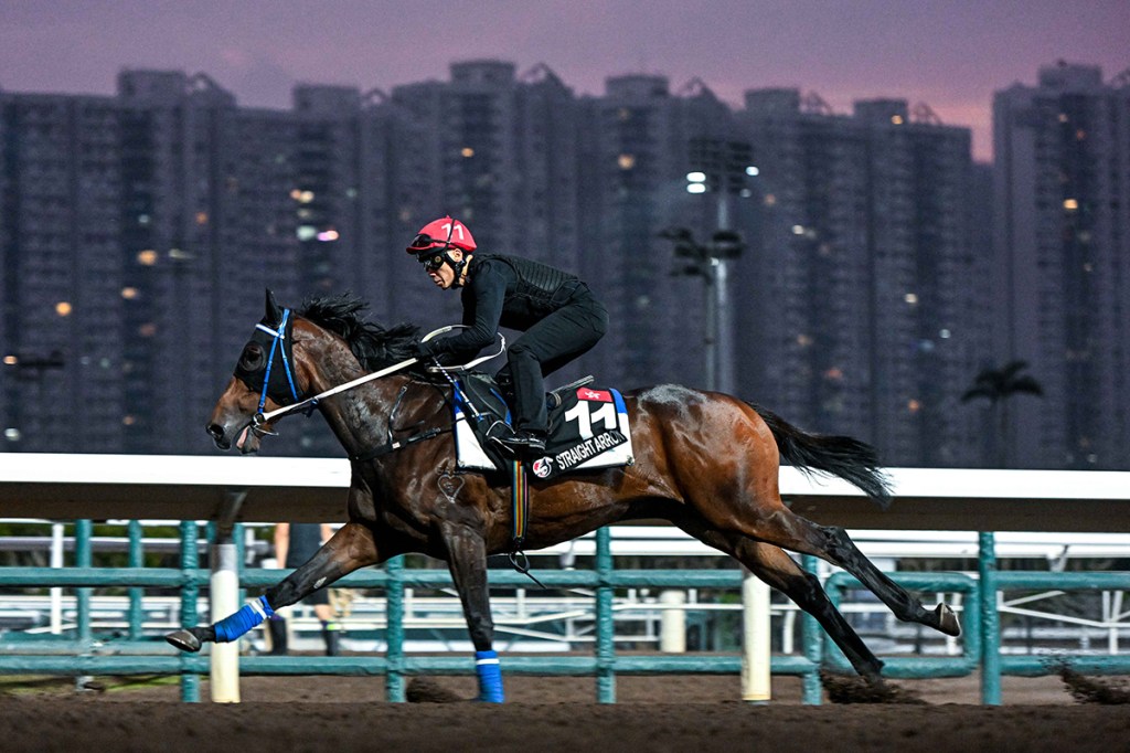 杜拜世界盃賽馬日香港馬增援團
