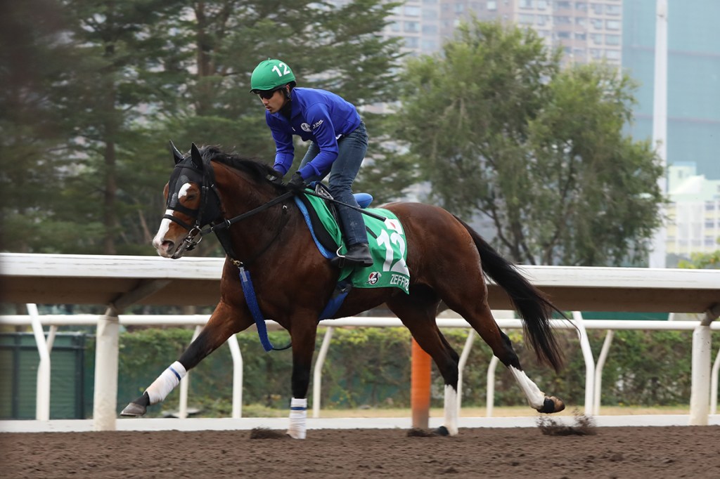 每日賽馬晚報(2024年5月30日),🇯🇵輕風飛因傷退役,🇬🇧壯膽識正式避戰雅士谷金盃