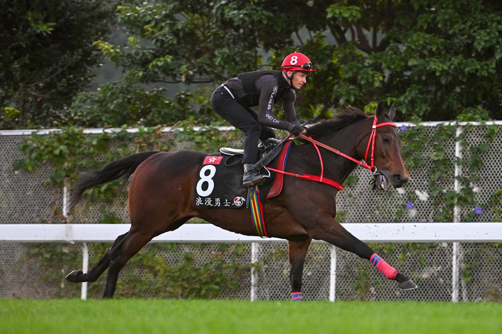 浪漫勇士回港力求衛冕香港盃