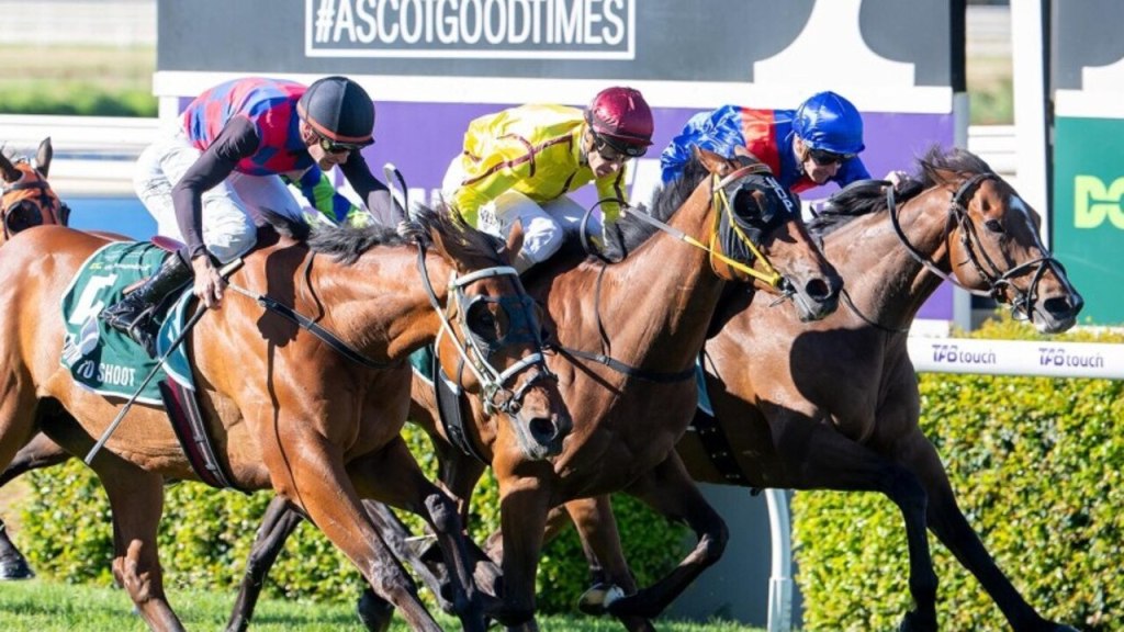 每日賽馬晚報（2023年12月9日），🇺🇸出色種馬Speightstown遭人道毀滅，🇦🇺品德高尚不敵西澳地頭蟲