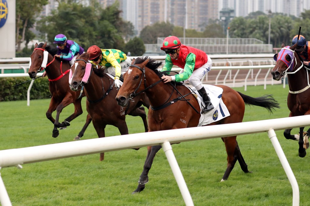 練馬師賽馬團體急先鋒賢者無敵