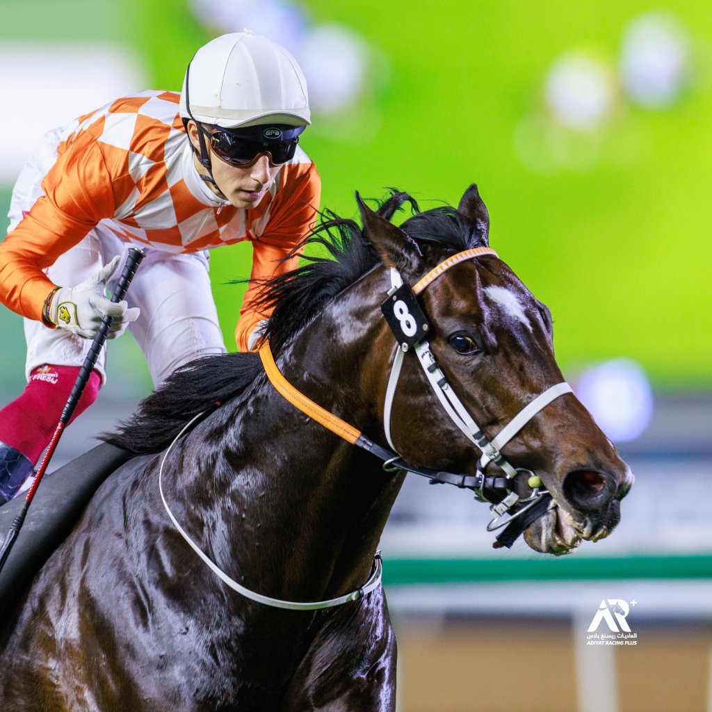 每日賽馬晚報（2023年12月23日），🇦🇪杜拜世界盃嘉年華草地賽解封，🇭🇰安騁正式取得打吡安全線