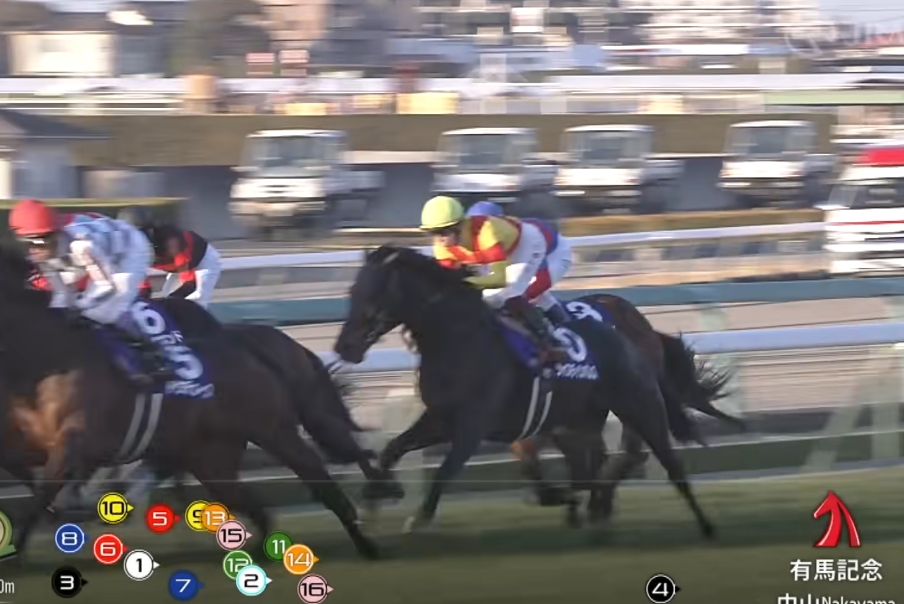 2024年11月24日賽馬日（10場田草泥混合、C跑道），外隊馬強攻日本盃特集