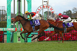 日本打吡馬匹介紹壓軸，蕾麗宮繼續挑戰雄馬
