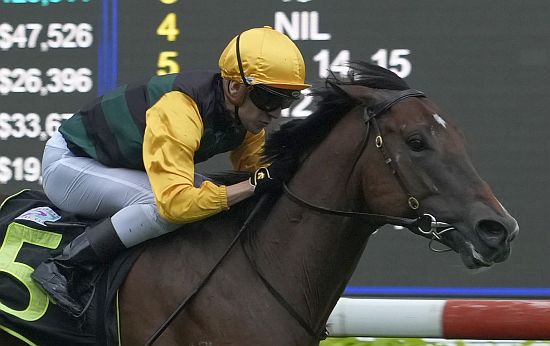 新加坡馬豐盛以自購馬身份來港上陣