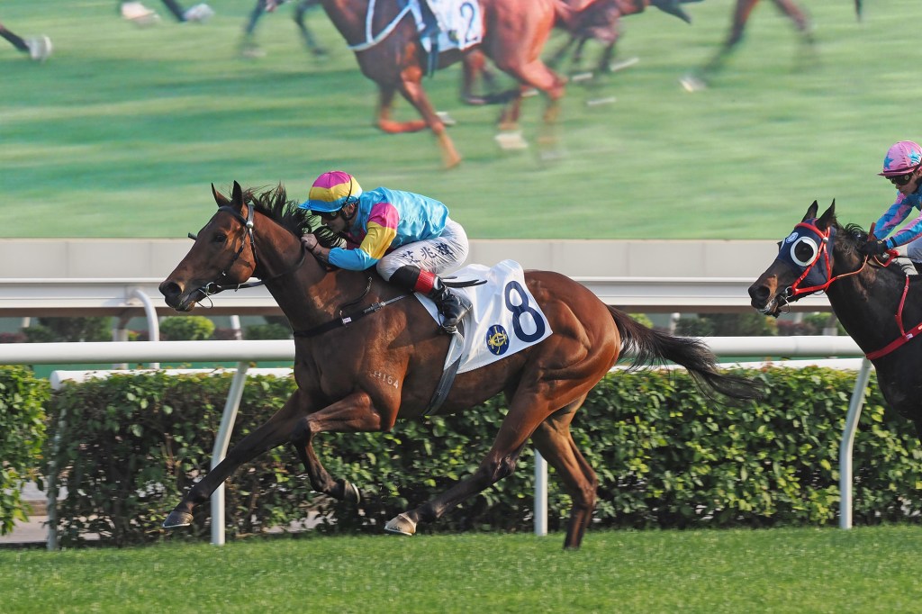 華商會挑戰盃，神虎龍駒越級挑戰照樣大勝