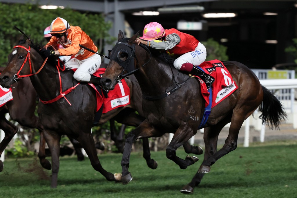 每日賽馬晚報（2024年1月5日），🇯🇵杜滿萊準備接受手術，🇭🇰賢者無敵洋紫荊接受挑戰