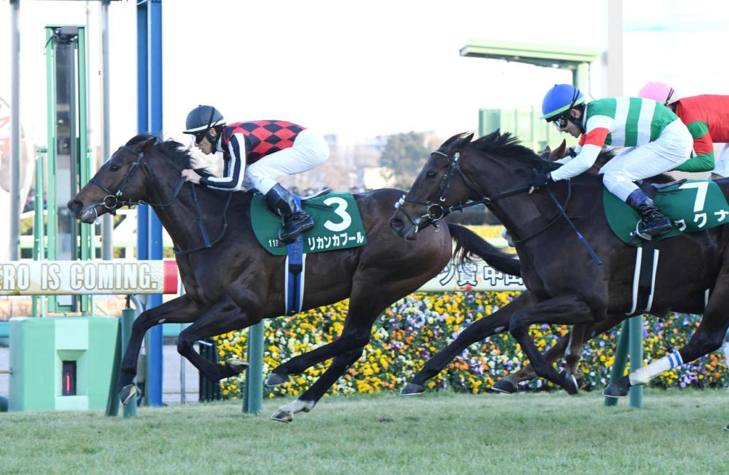 中山金盃，Licancabur捨棄後上贏得，金美琪當日贏馬之餘更起孖