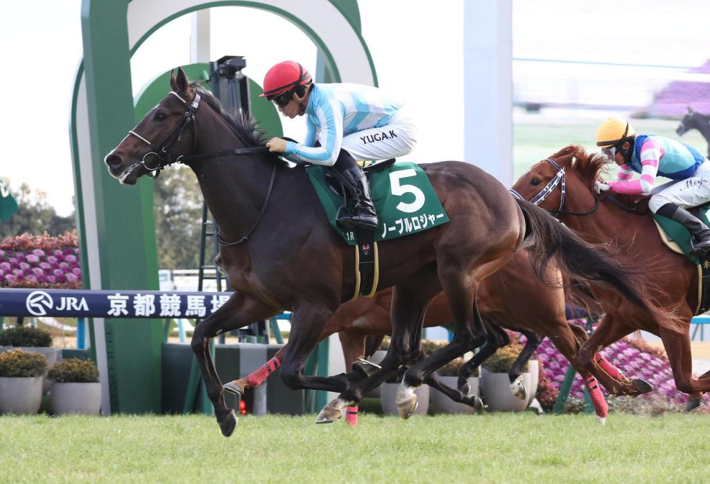 每日賽馬晚報（2024年1月8日），🇭🇰游達榮來港視察馬場，🇯🇵奇謀宮Noble Roger日本再建功