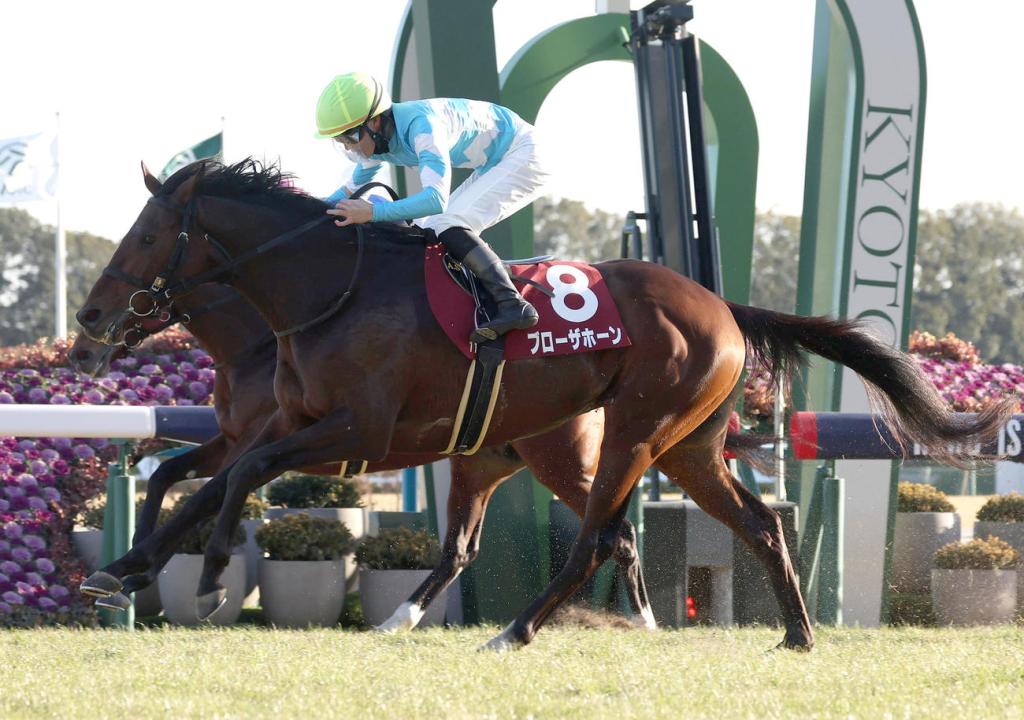 日經新春盃，響號作出真正反擊