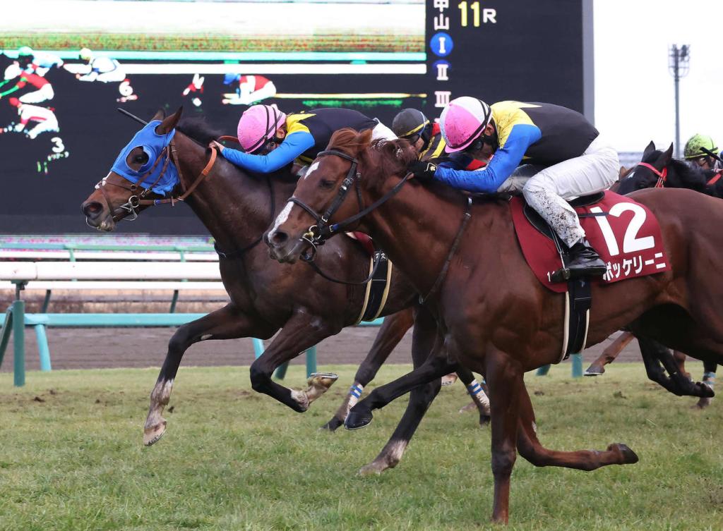 美國賽馬會盃，金美琪日本分級賽照贏