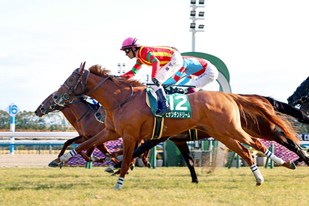 每日賽馬晚報（2024年2月4日），🇭🇰金鑽貴人配麥道朗，🇯🇵龐可立如月賞贏分級賽