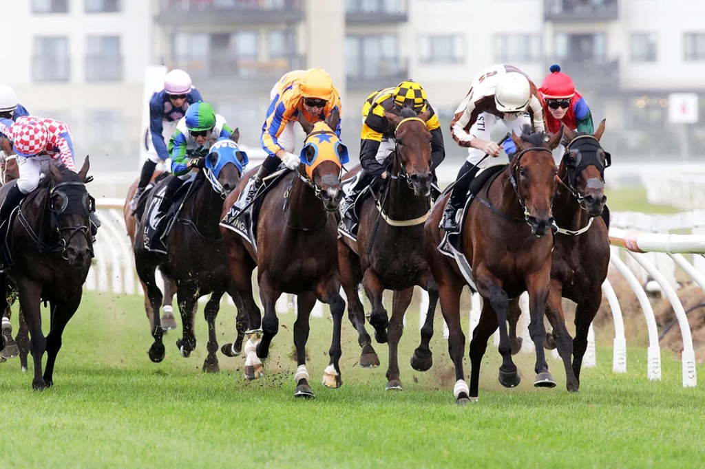 每日賽馬晚報(2024年2月10日),🇸🇦沙地盃賽日公開出賽馬匹名單,🇳🇿Legarto戴康比錦標復活