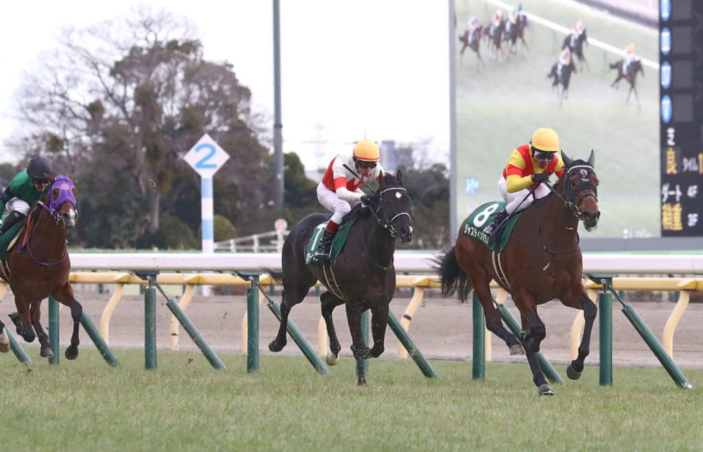 每日賽馬晚報（2024年2月29日），🇬🇧葉森打吡公佈第一次報名名單，🇯🇵🇦🇪秘盡真傳照跑杜拜世界盃