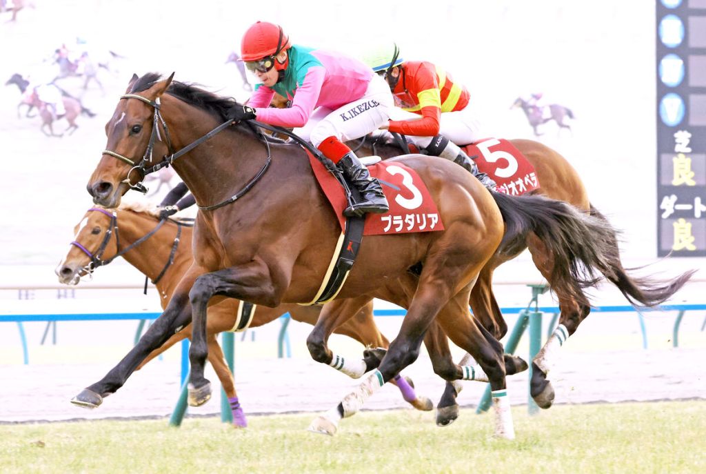 京都紀念賽，草如茵最合京都發揮