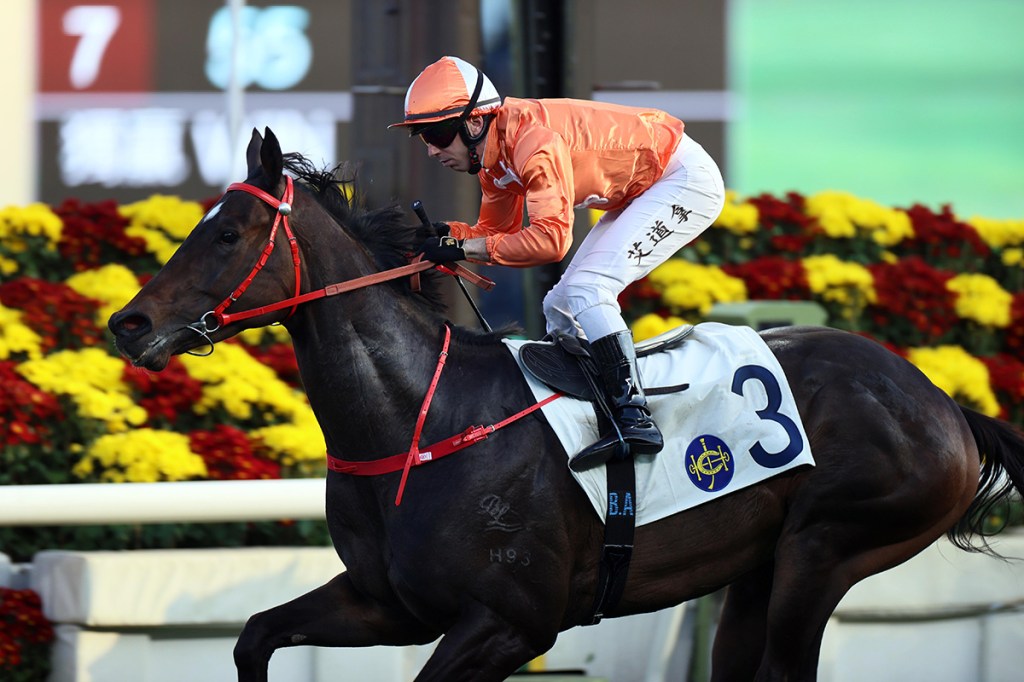 嫡愛心可否保持強橫氣勢？