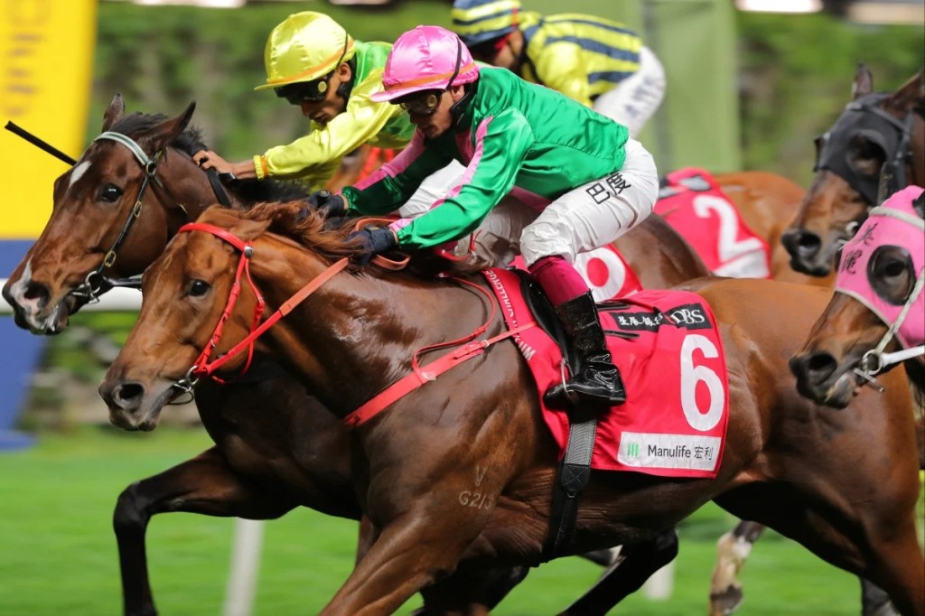 每日賽馬晚報（2024年2月22日），🇸🇦實現訴求如贏沙地盃馬主送現金，🇭🇰跑馬地百萬挑戰盃雙冠軍特集