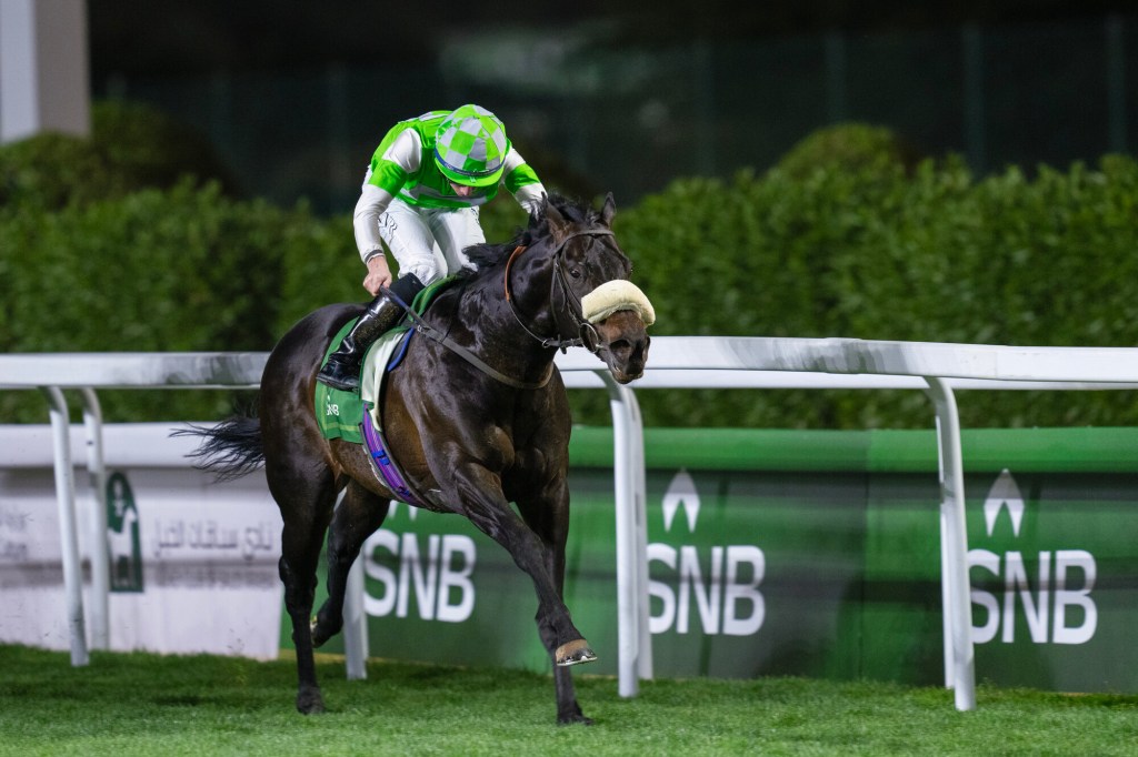 雁南飛不東遷留在杜拜