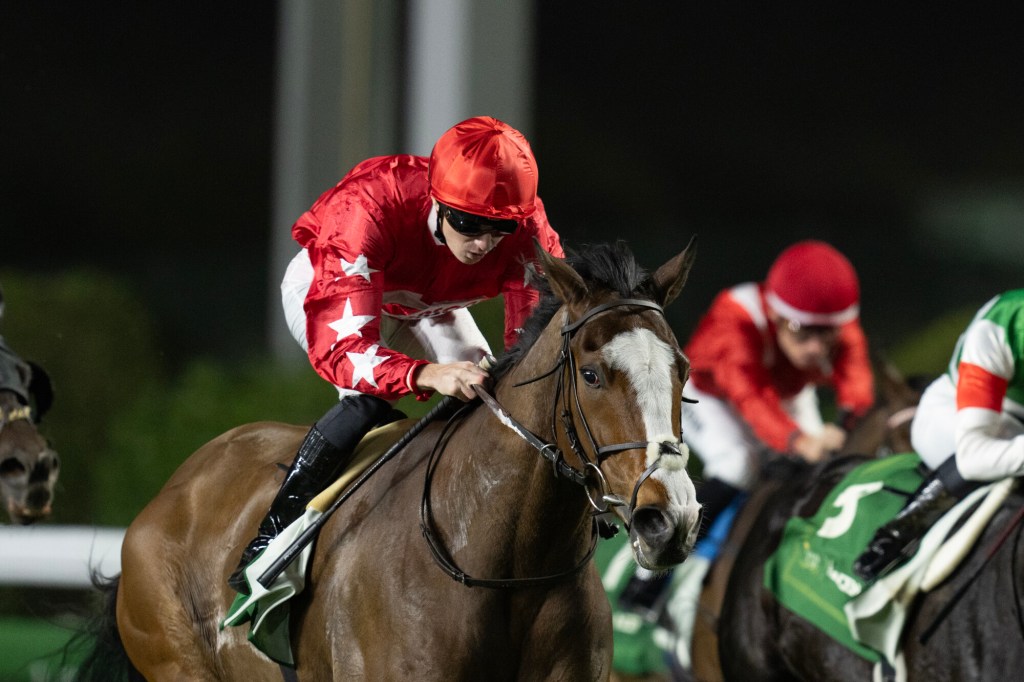 新未來城草地盃，飛舞心靈又入一粒