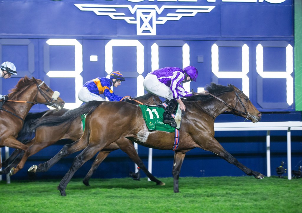 每日賽馬晚報(2024年2月26日),🇸🇦英宮塔堡輕磅奪紅海草地讓賽,🇦🇪凌雪飛挑戰杜拜草地大賽